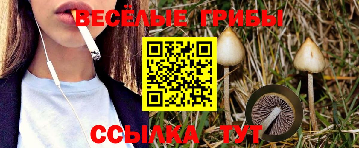 Псилоцибиновые грибы Psilocybine cubensis Балашиха